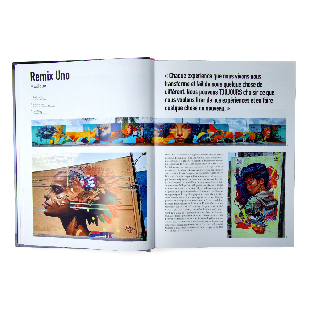 Atlas de l'Art Urbain et du Graffiti (FRENCH VERSION)