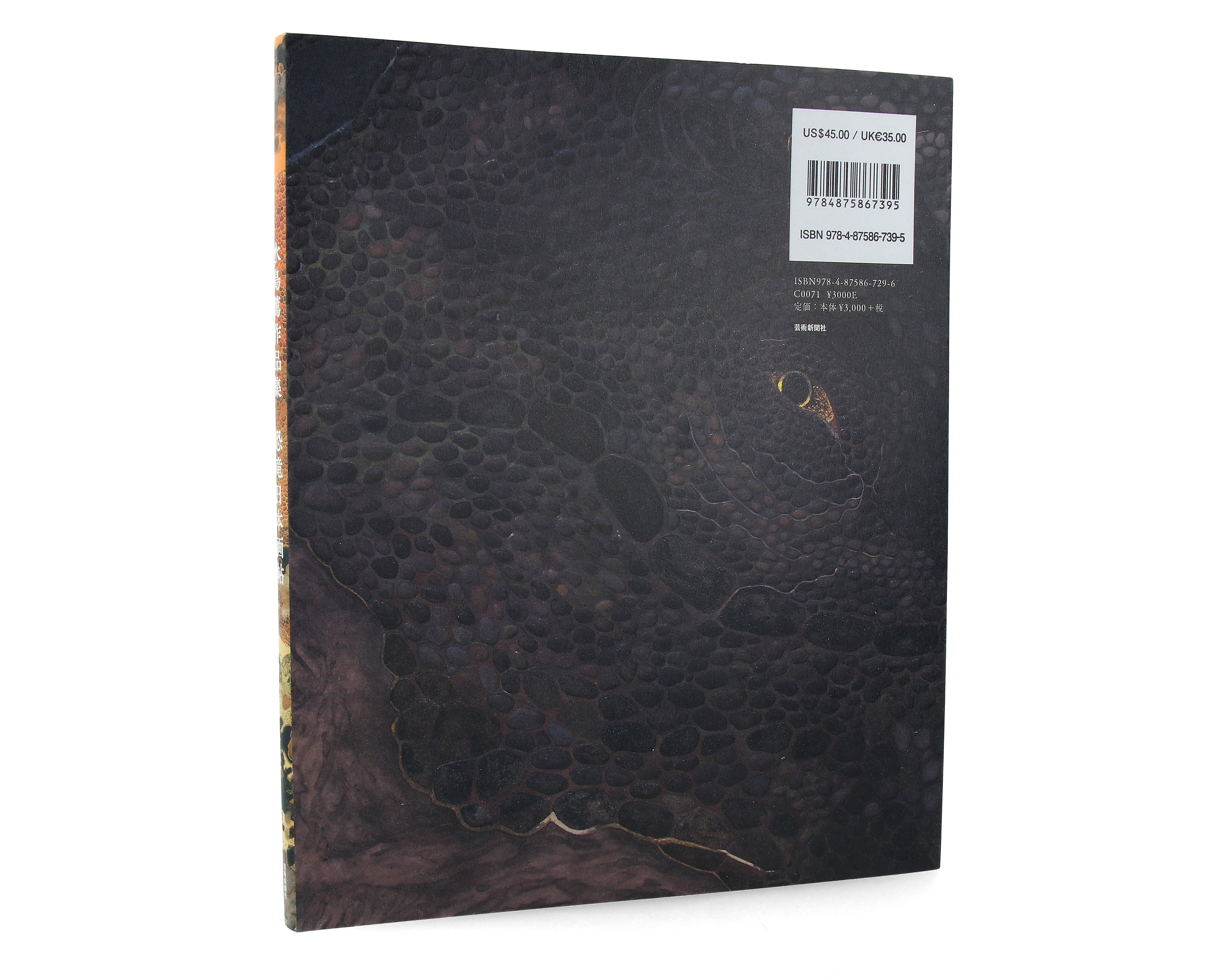 Atsushi Mizushima Works of Dinosaur Art x Japanese-style Painting