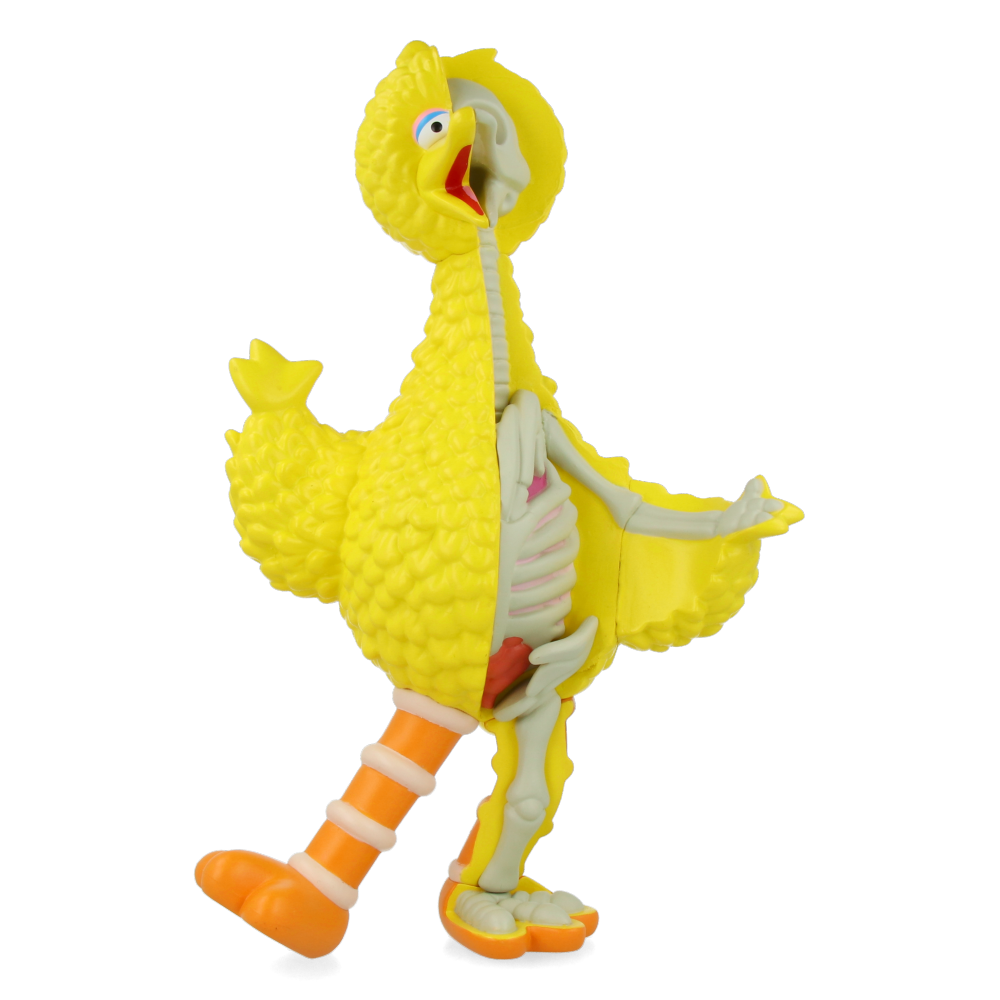 XXRAY Plus : Sesame Street Big Bird