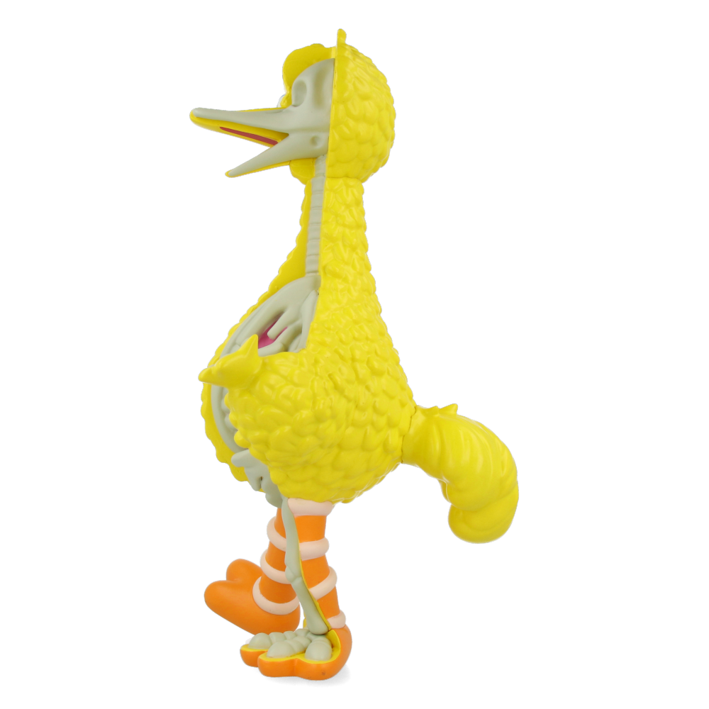 XXRAY Plus : Sesame Street Big Bird