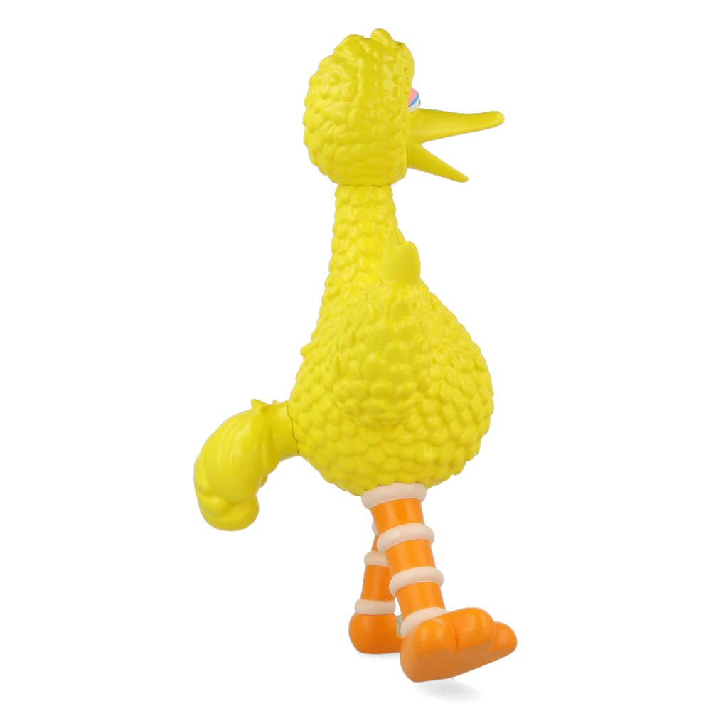 XXRAY Plus : Sesame Street Big Bird