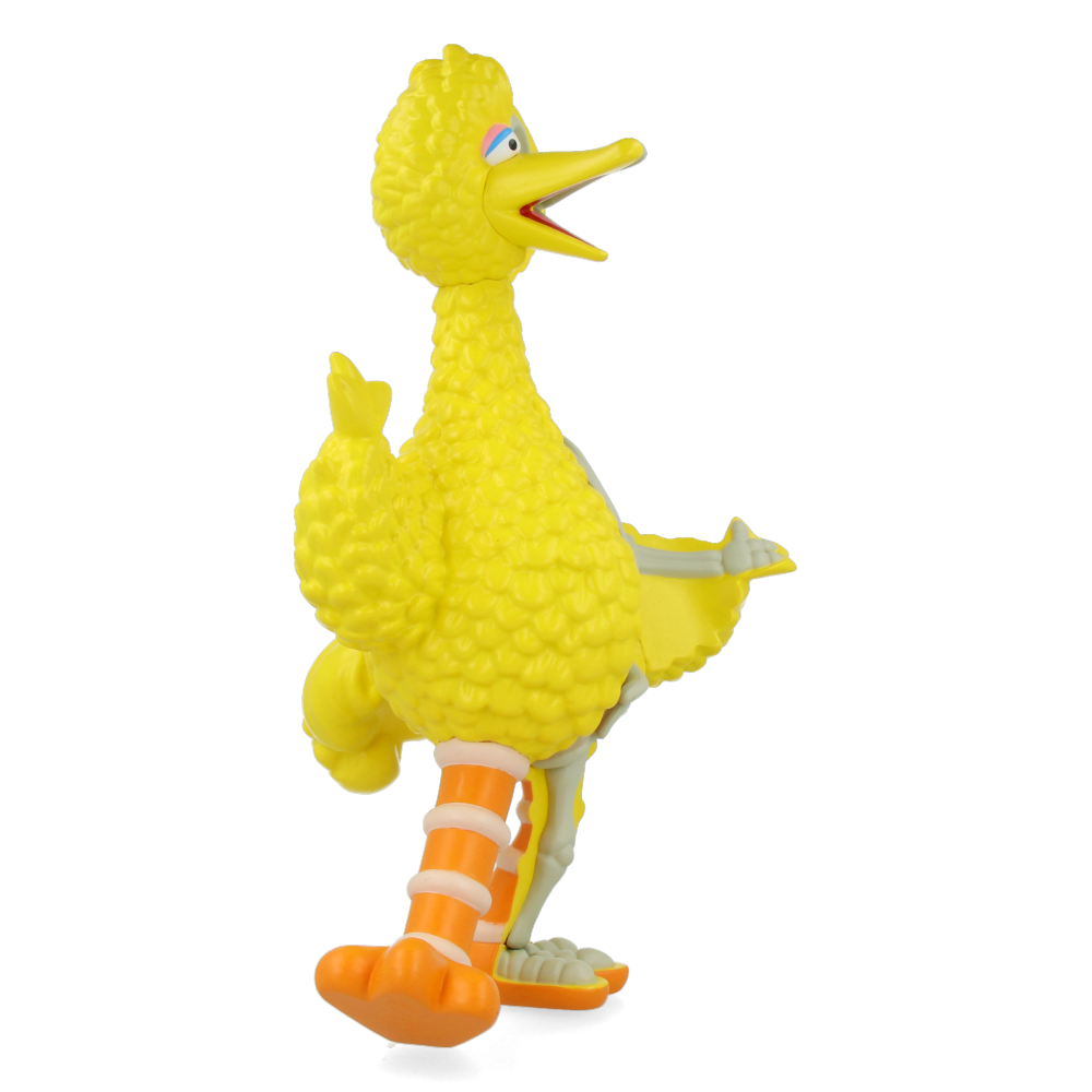 XXRAY Plus : Sesame Street Big Bird