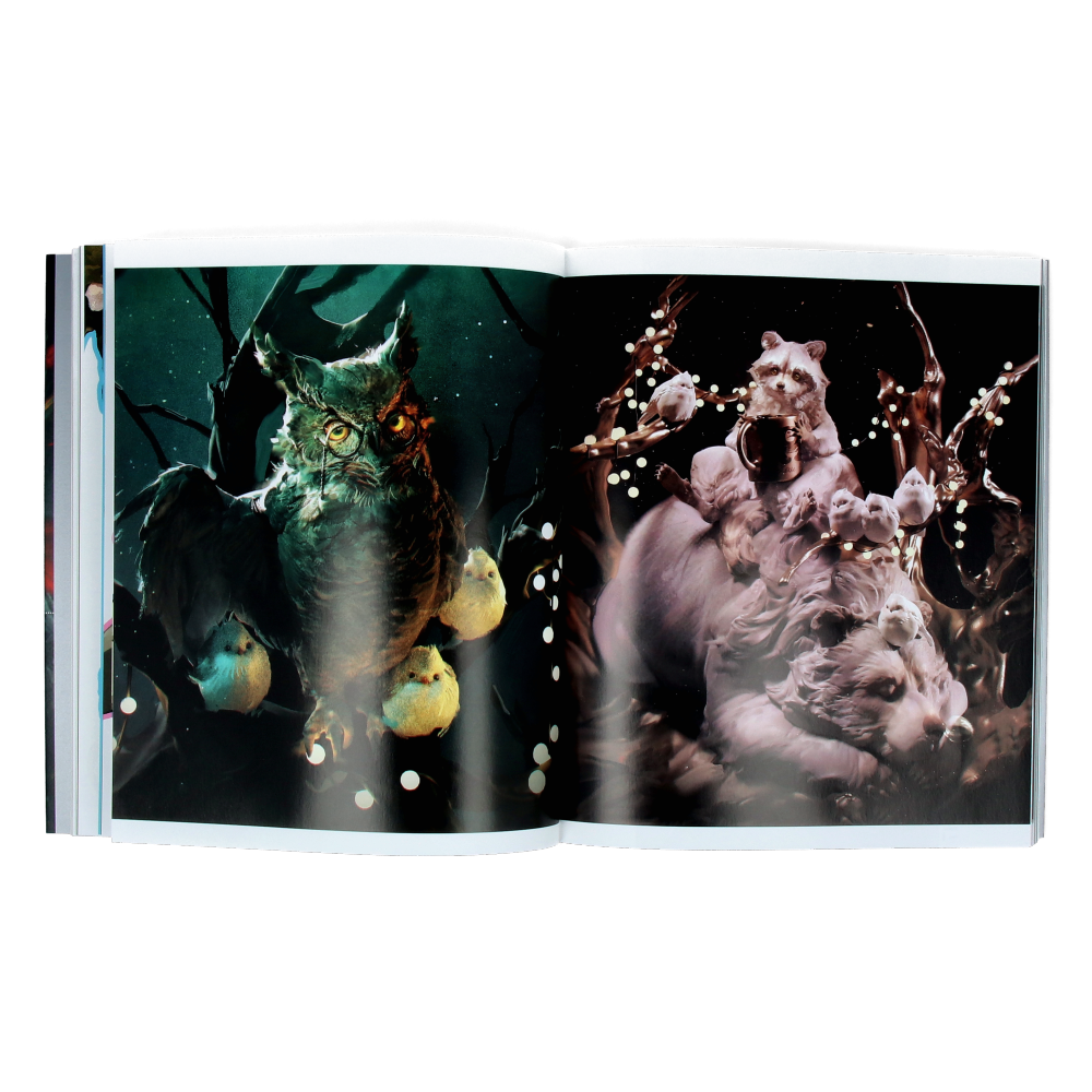 Entei Ryu Artworks Chimera