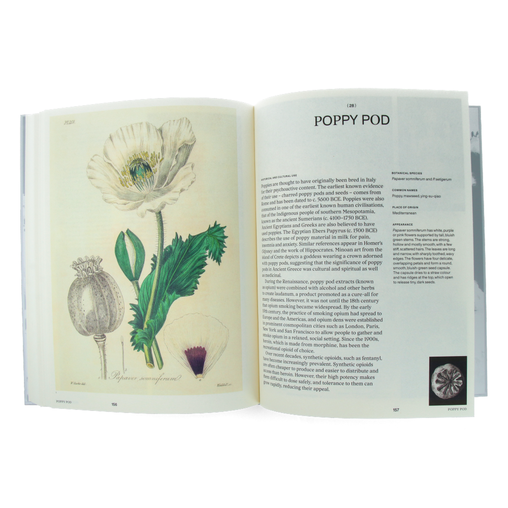 Psychoactive Plants and Fungi : A Cultural Guide to 42 Plants and Fungi That Shift the Mind - Thames & Hudson Book