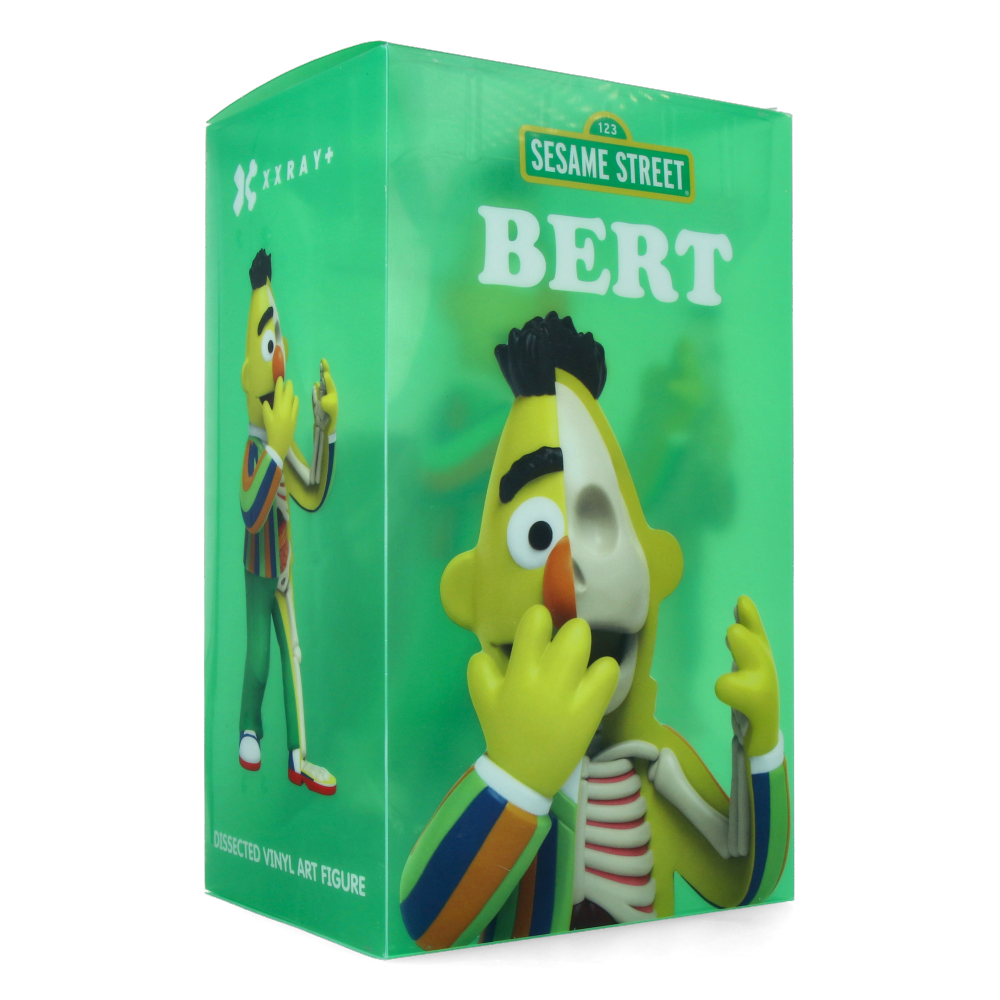 XXRAY Plus: 9" Bert