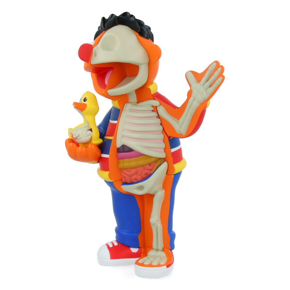 XXRAY Plus: 8.5" Ernie