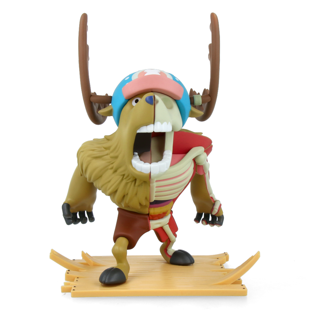 XXRAY Plus Monster Point