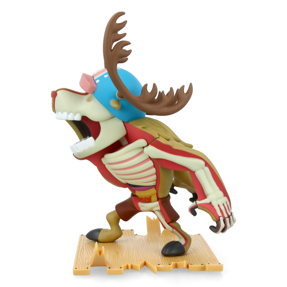 XXRAY Plus Monster Point