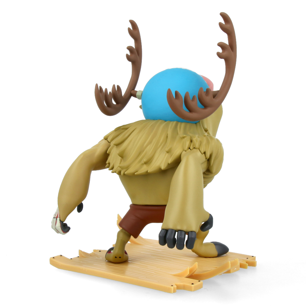 XXRAY Plus Monster Point