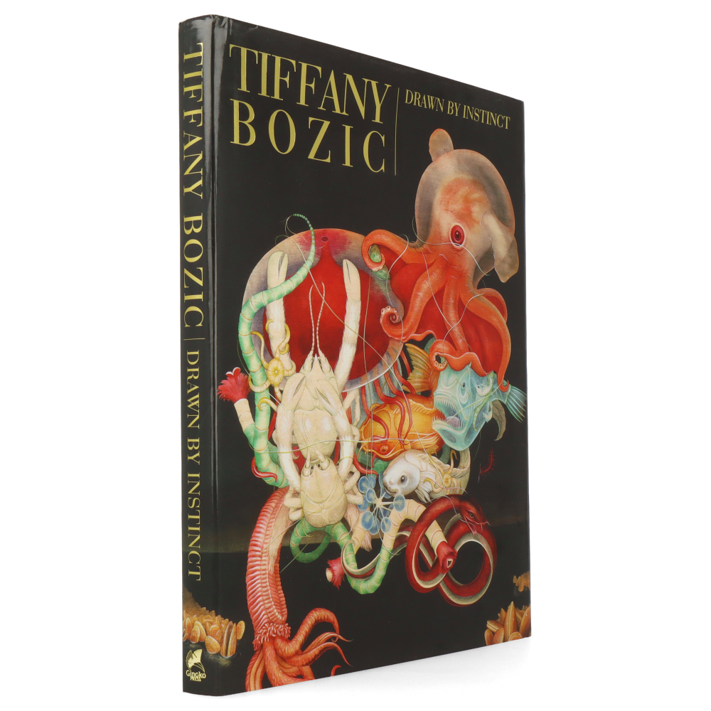 Tiffany Bozic Drawn by Instinct