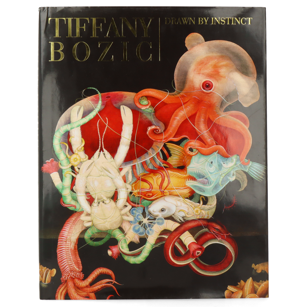 Tiffany Bozic Drawn by Instinct