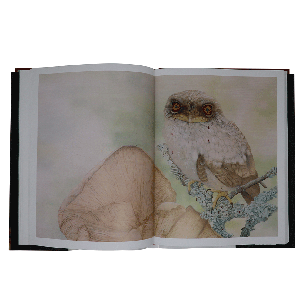 Tiffany Bozic Drawn by Instinct