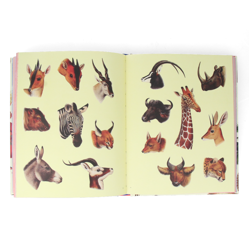 Extraordinary Things Sticker Book