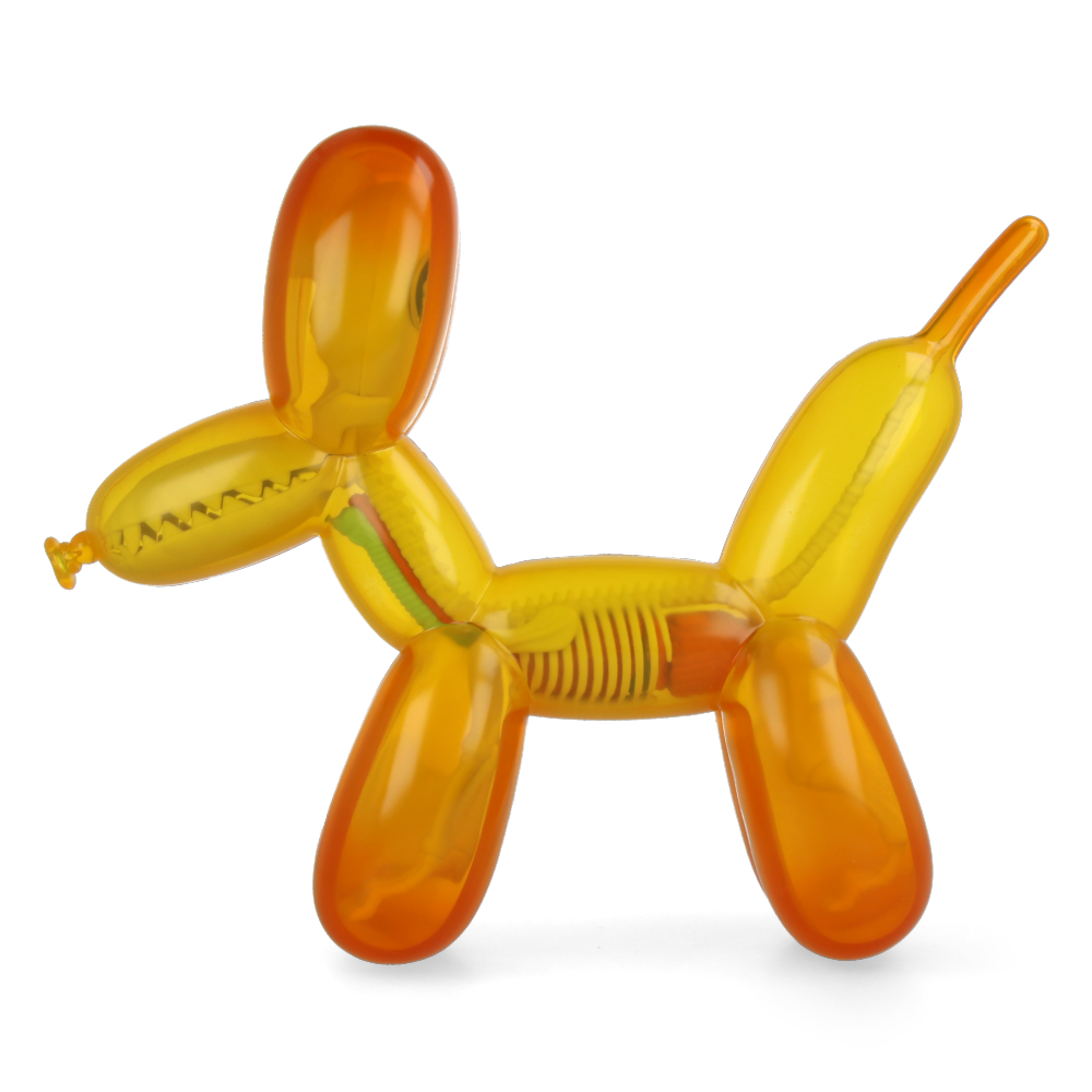 Funny Anatomy Balloon Dog (Honey Edition) - Jason Freeny
