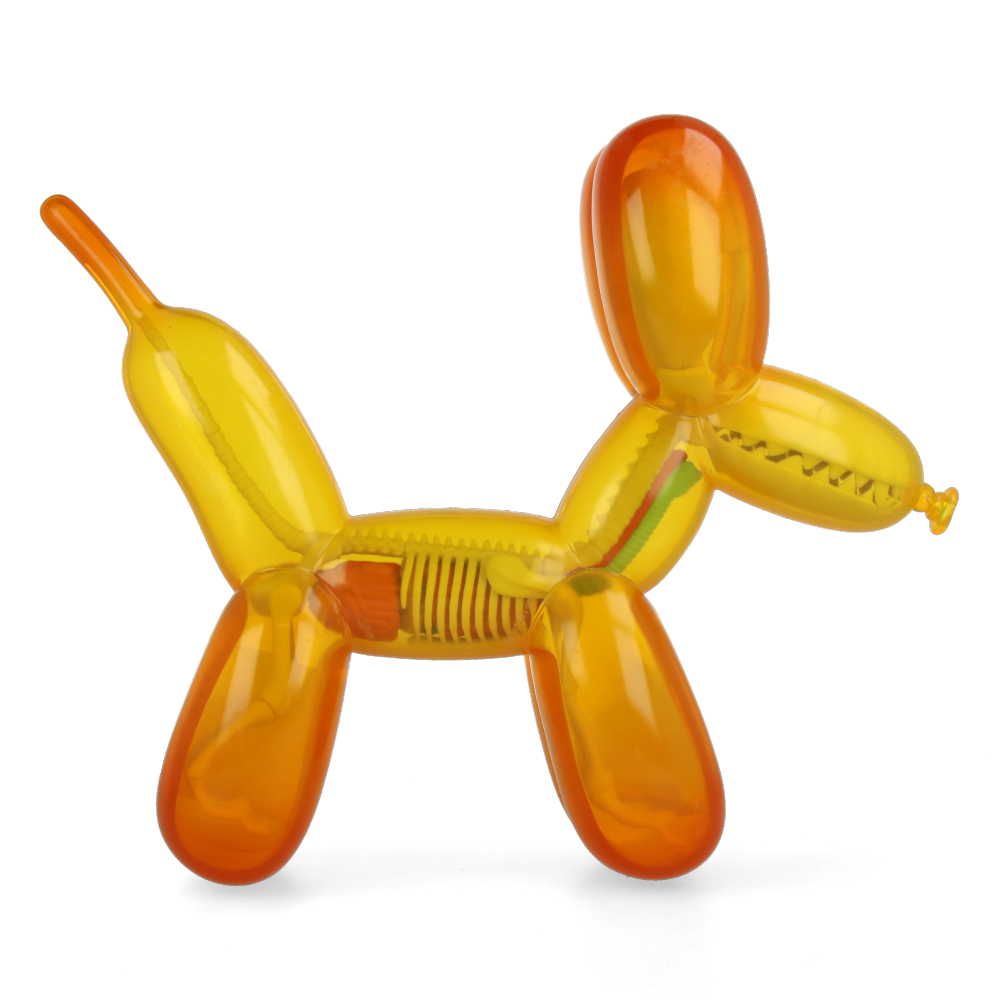 Funny Anatomy Balloon Dog (Honey Edition) - Jason Freeny