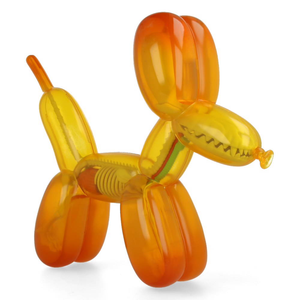 Funny Anatomy Balloon Dog (Honey Edition) - Jason Freeny