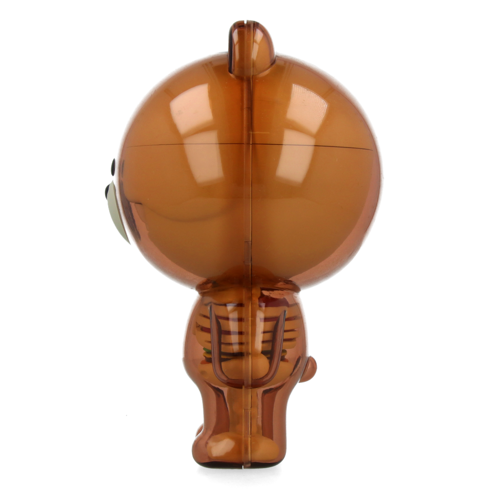 Funny Anatomy LINE Friends Brown