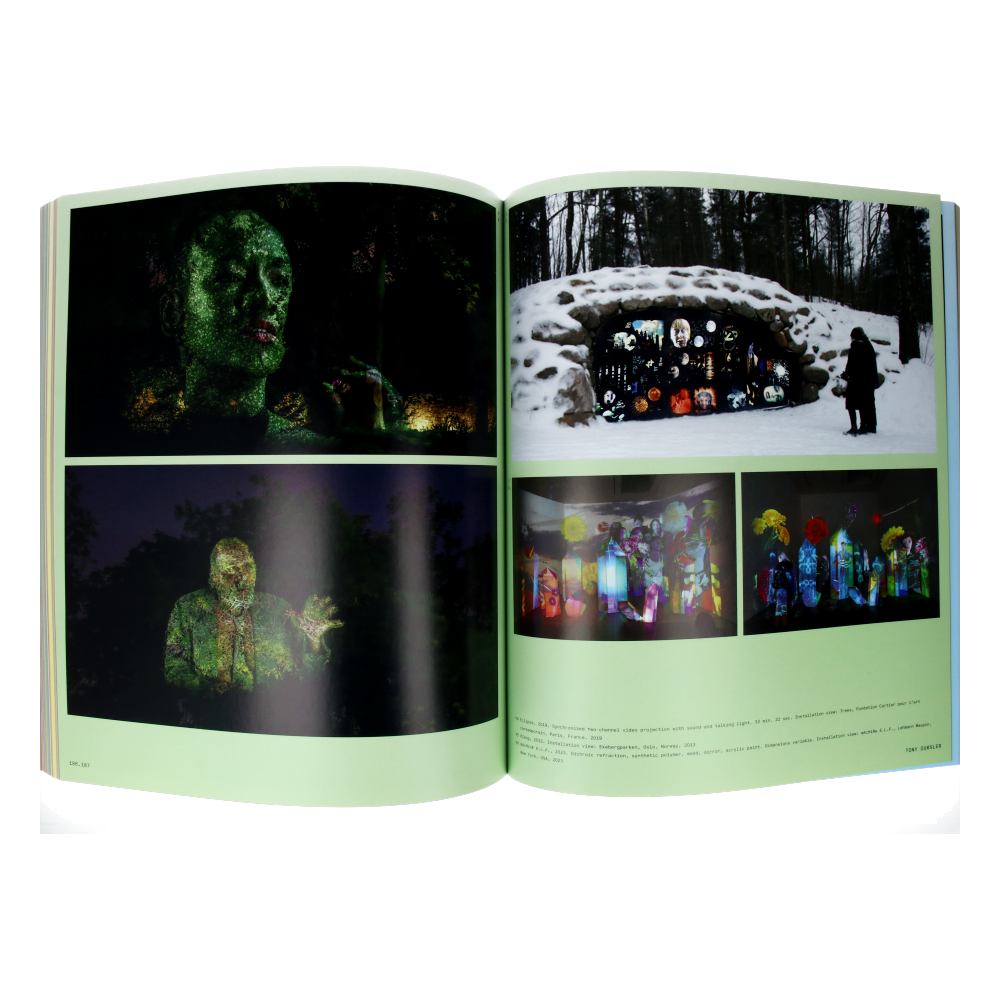 Vitamin V - Video and the Moving Image in Contemporary Art