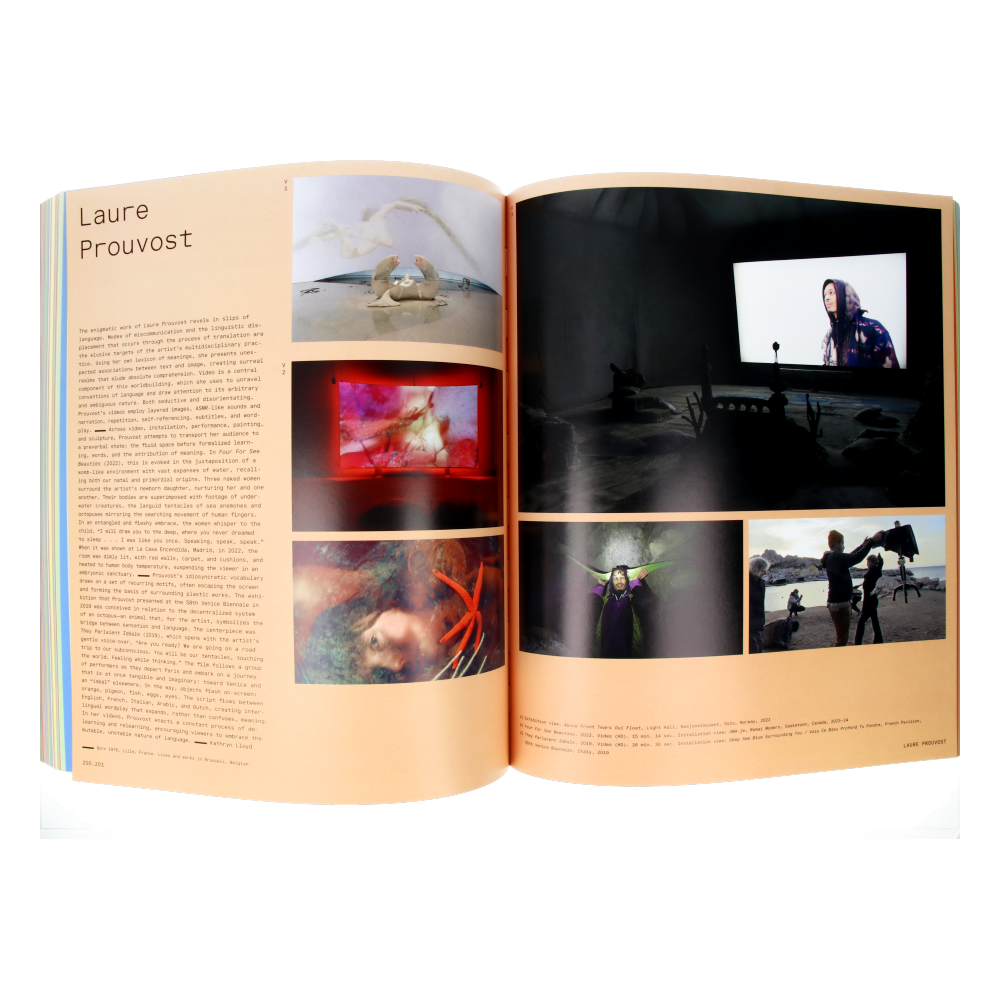 Vitamin V - Video and the Moving Image in Contemporary Art