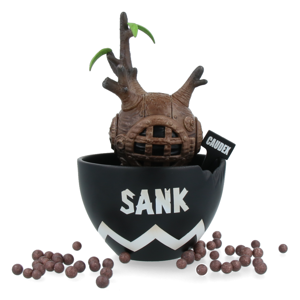 Sank-Fantastic Caudex-black