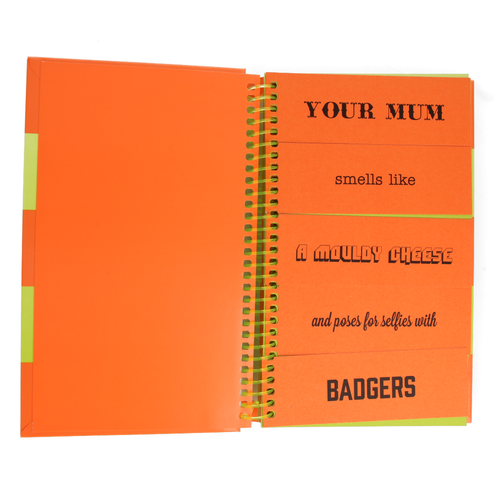 The Ultimate Insult Generator