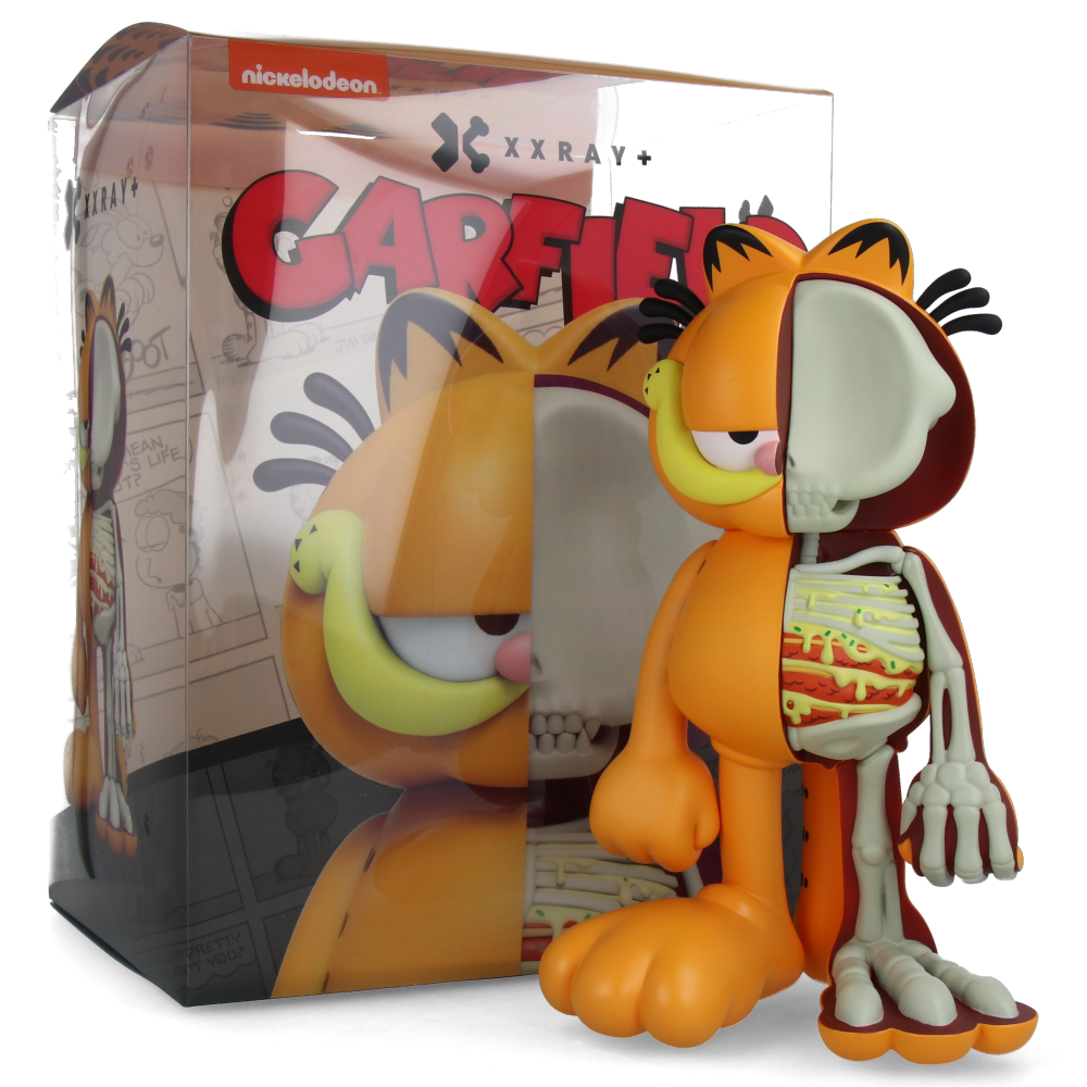 XXRAY Plus Garfield