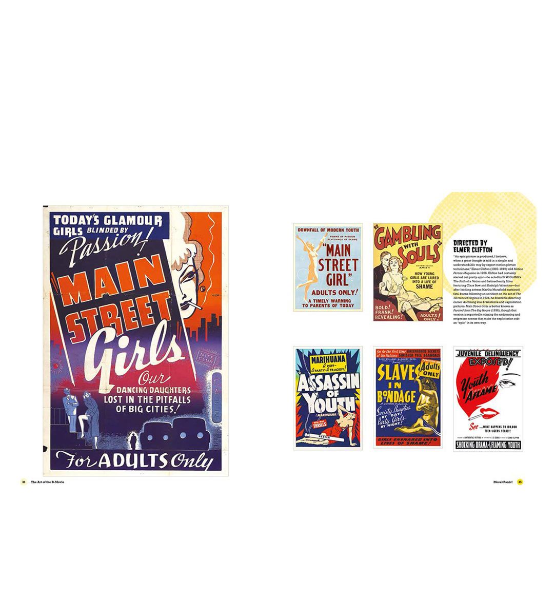 The Art of the B-Movie Poster !