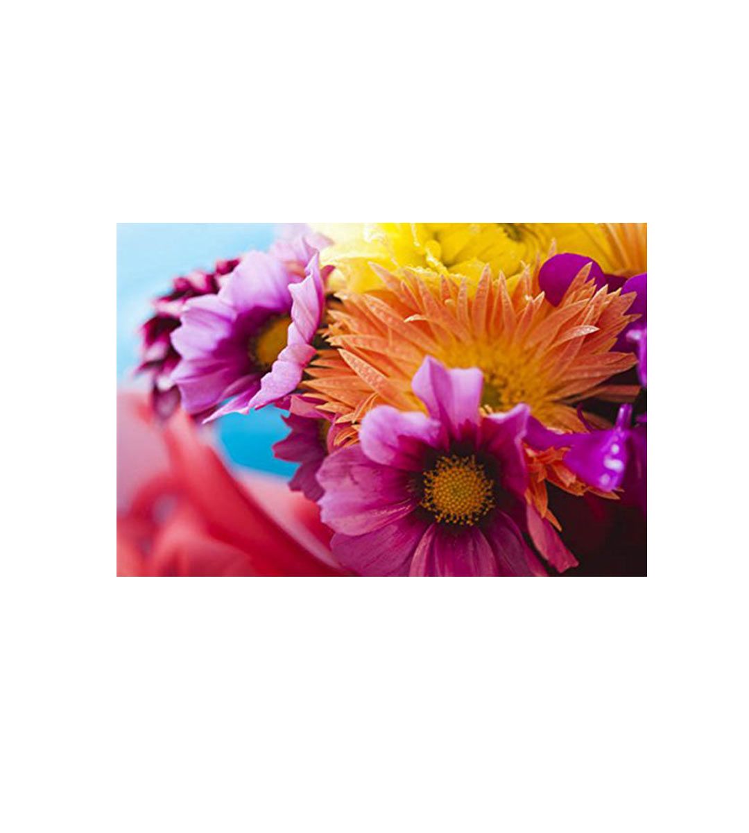 Mika Ninagawa : Into Fiction/Reality