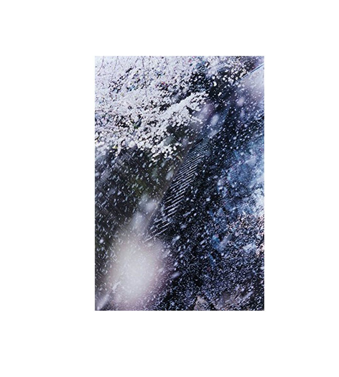 Mika Ninagawa : Into Fiction/Reality