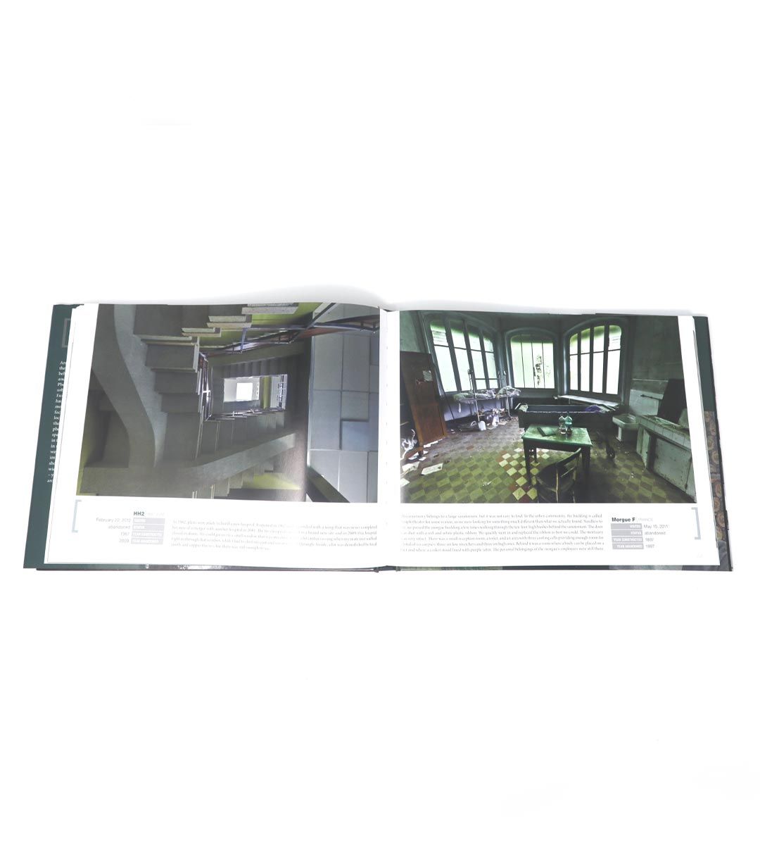 The World Of Urban Decay