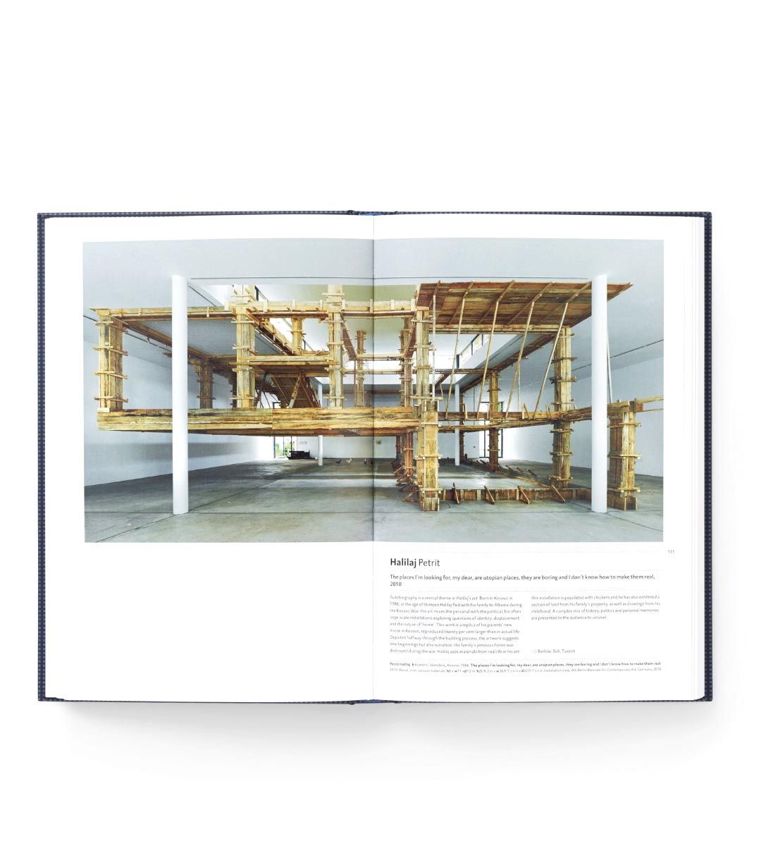 The 21st Century Art Book