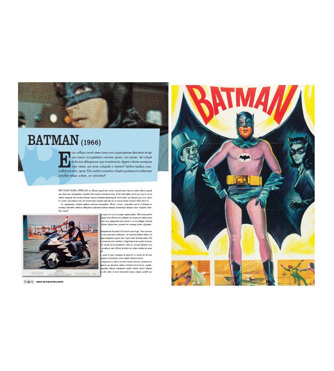 Batman : Complete Story of the Dark Knight