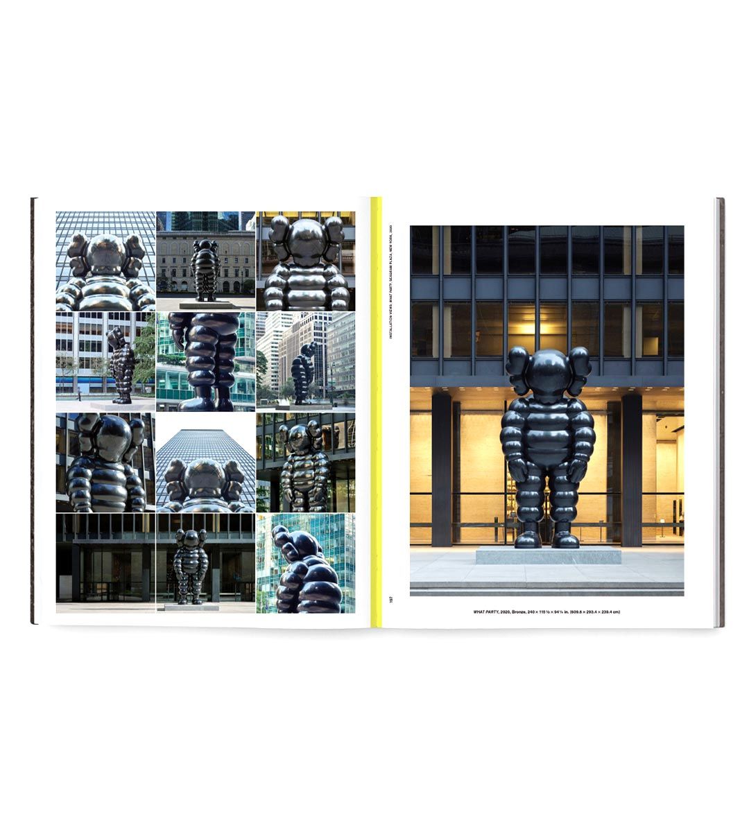 Kaws What Party (pink)