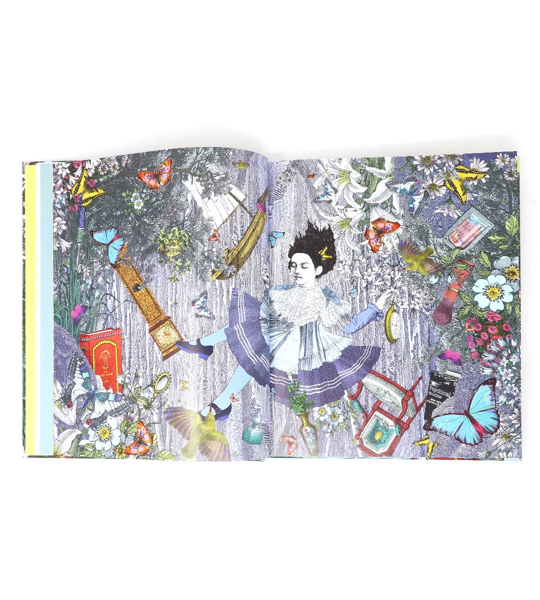 Alice, curiouser and curiouser