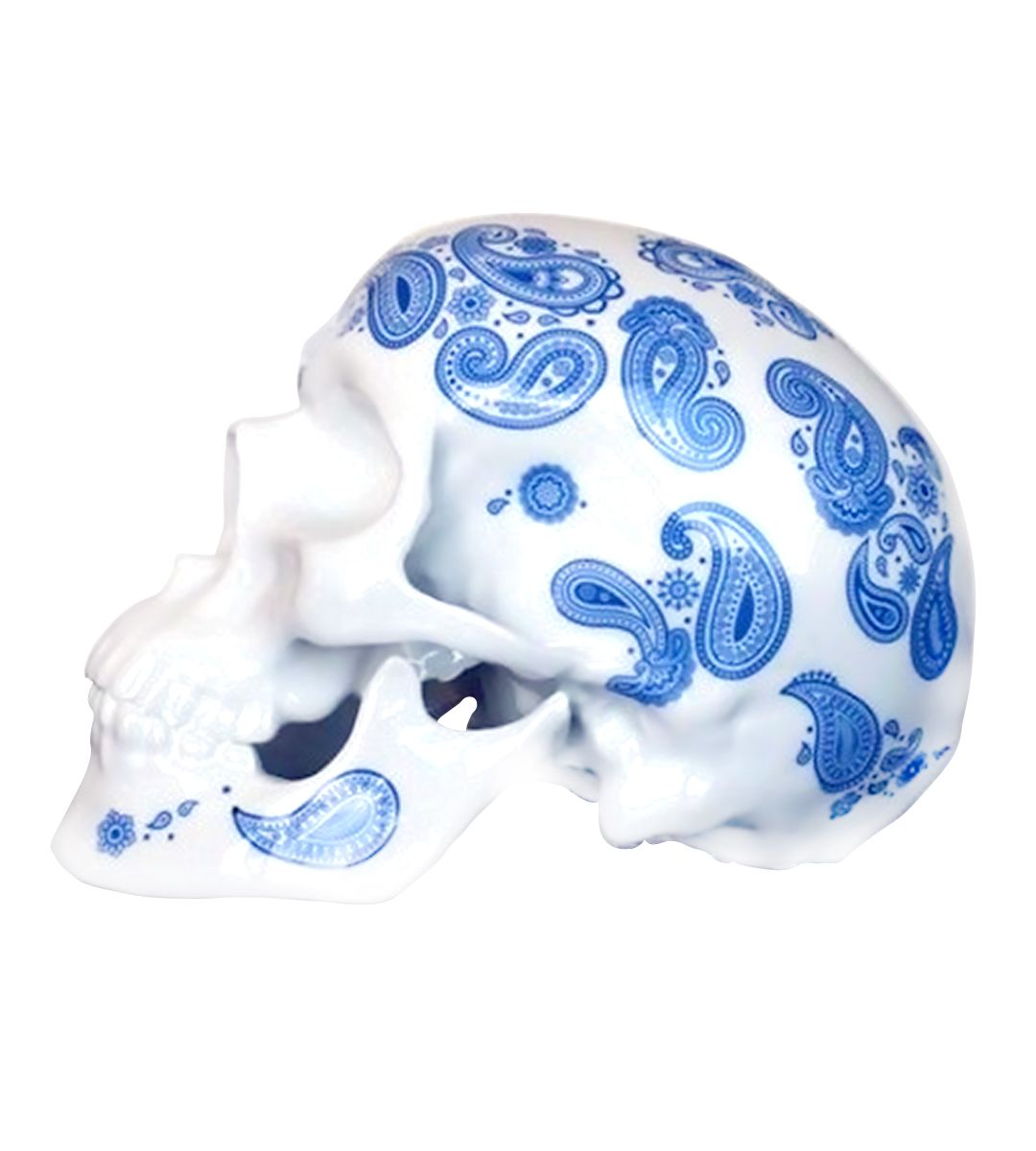Skull Cashmere Blue - Noon