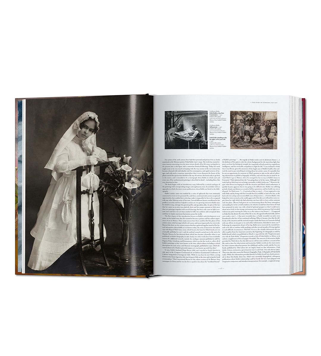 Frida Kahlo. Tout l'œuvre peint