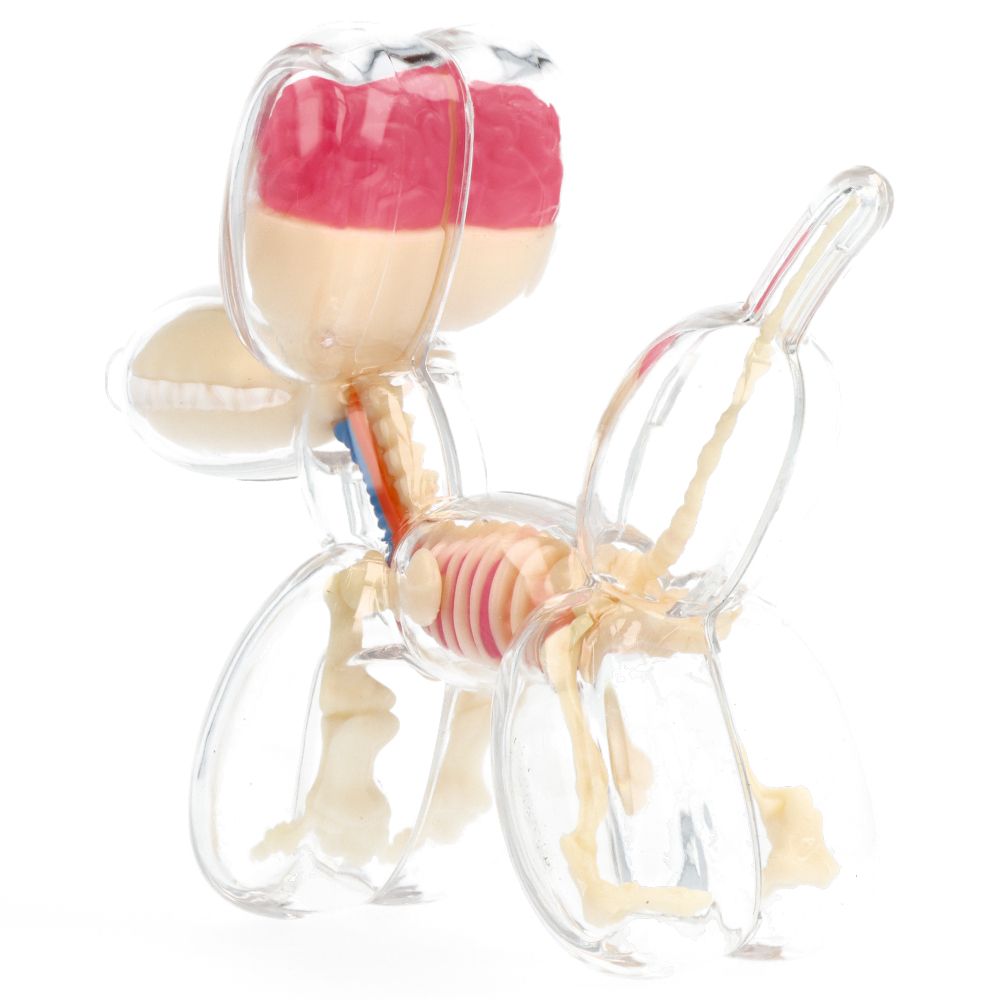 10" Balloon Dog Anatomy - Jason Freeny