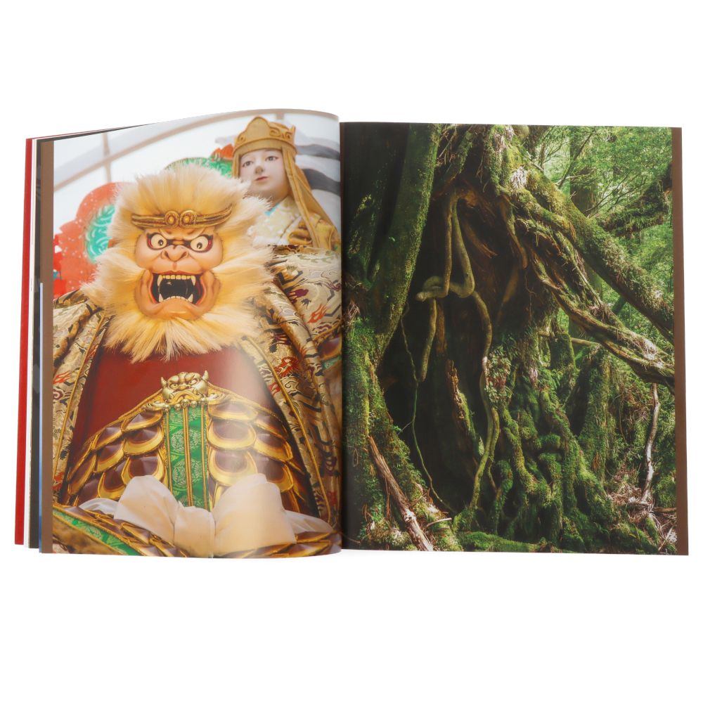 Japon Panorama de l'imaginaire