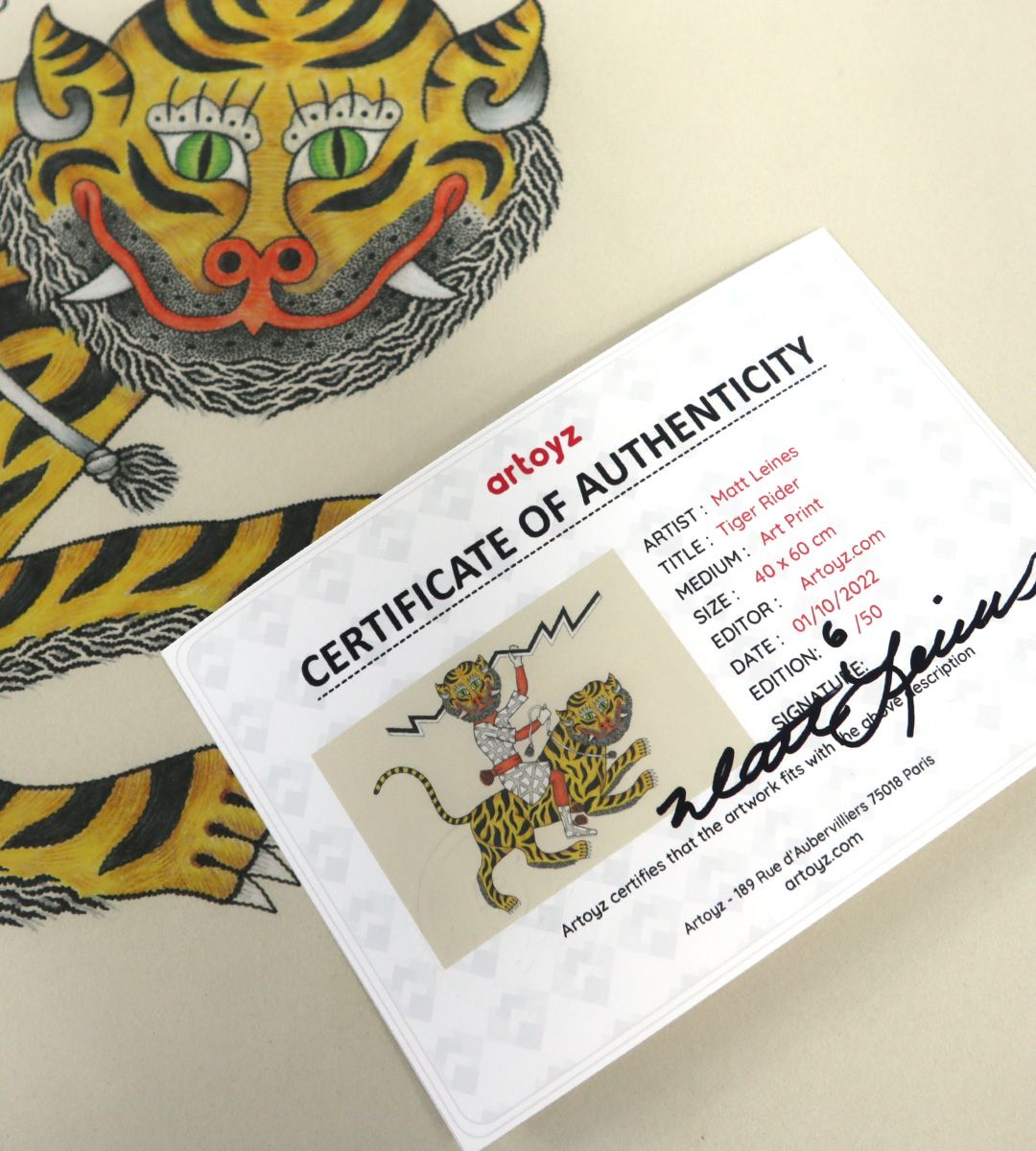 Tiger Rider by Matt Leines