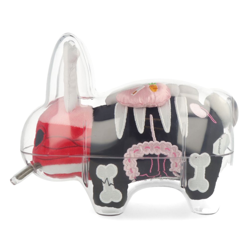 7" The visible Labbit - Frank Kozic