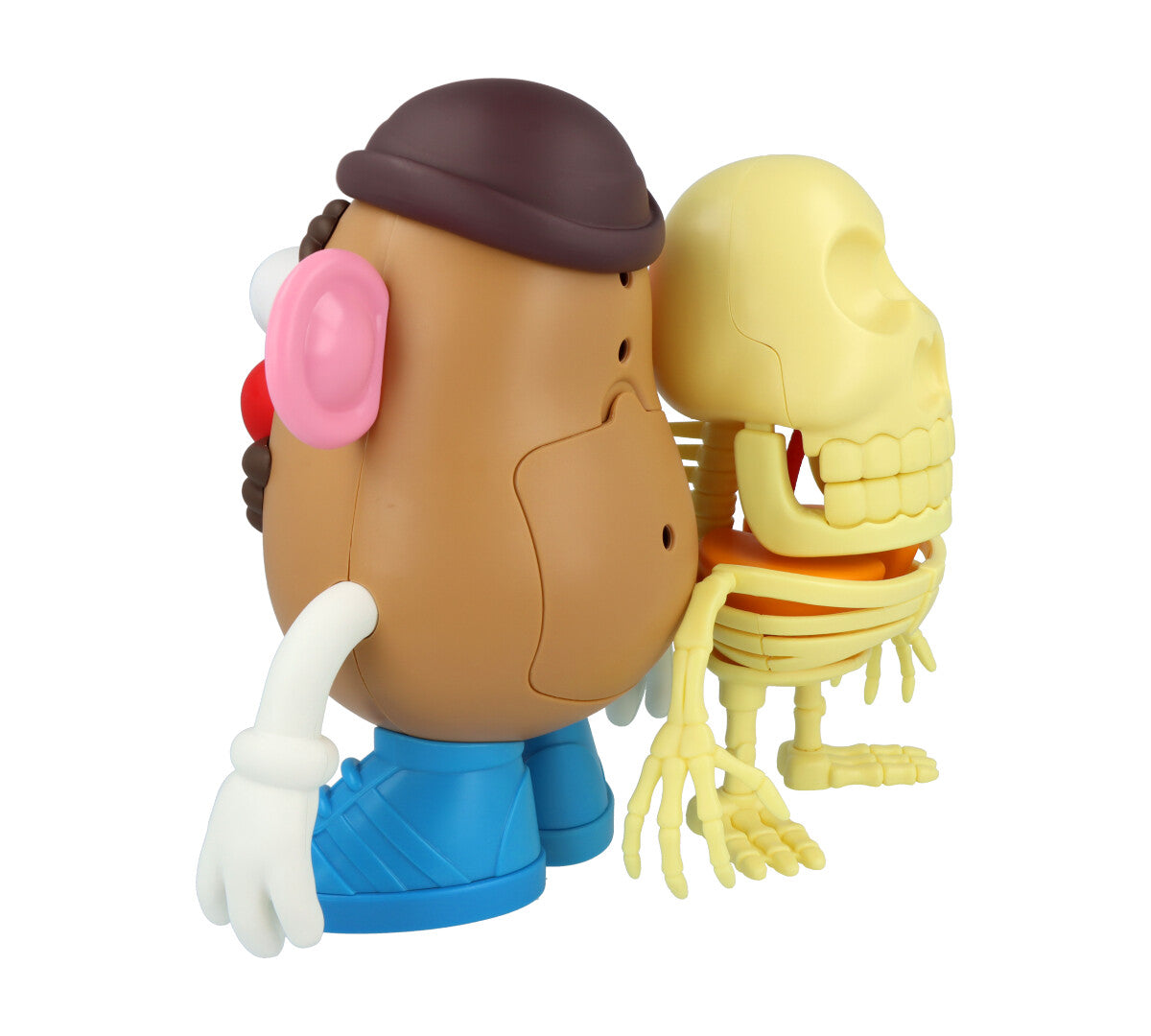 4D XXRAY Mr Potato Head