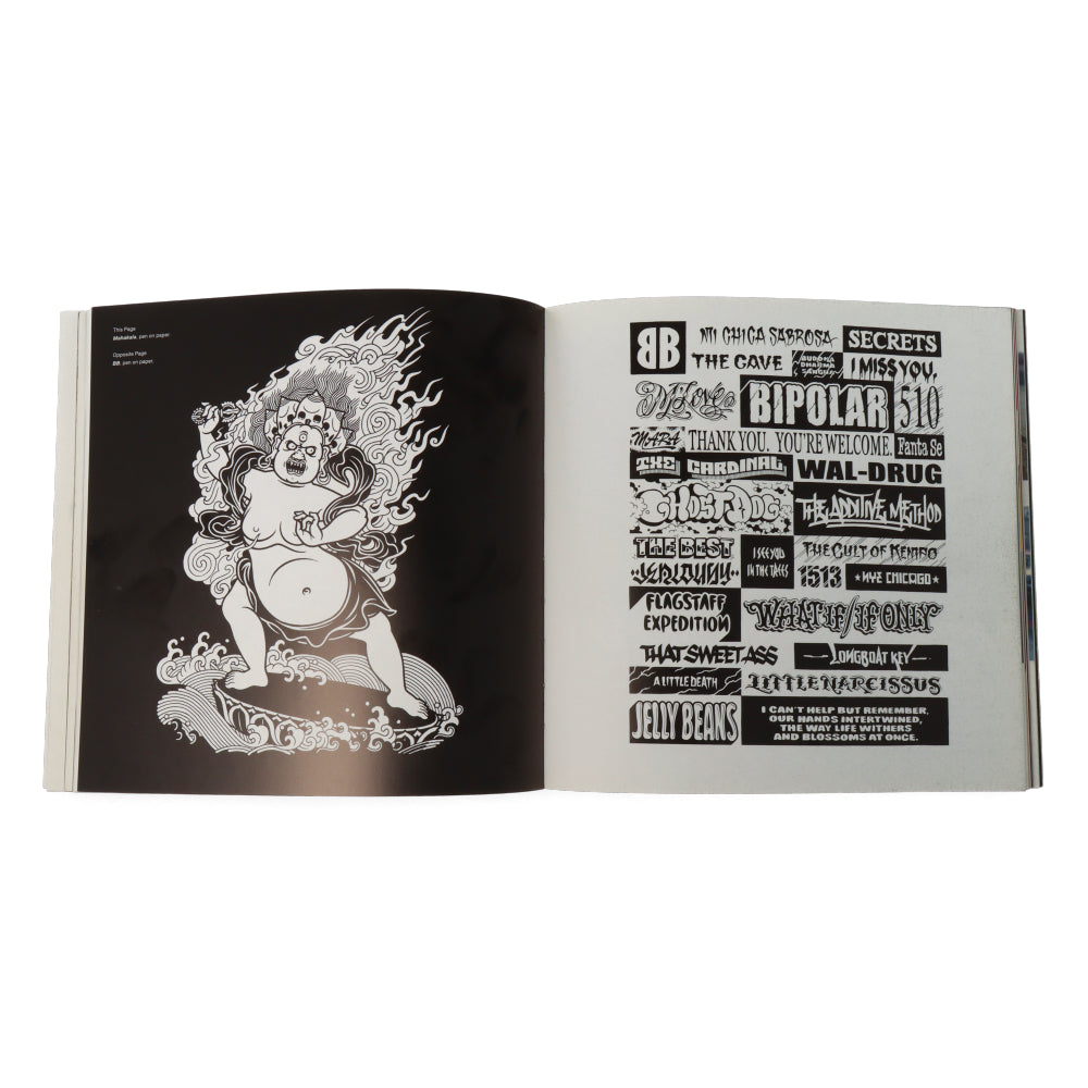 Concrete 2 Canvas : More Skateboarders' Art