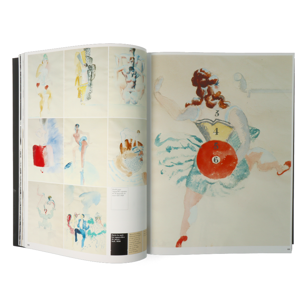 Le Corbusier le grand