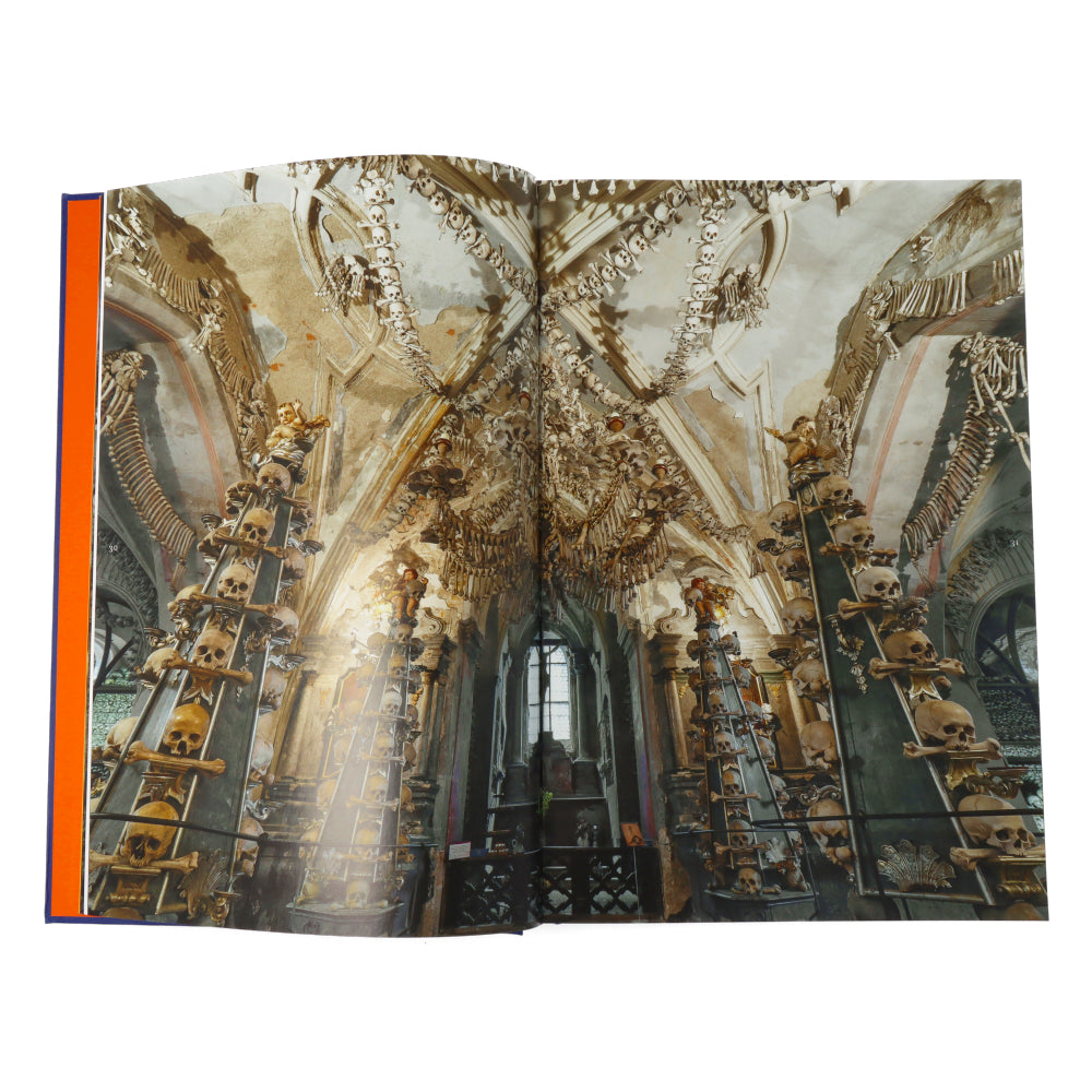 Memento Mori the Dead Among US (Compact ED)