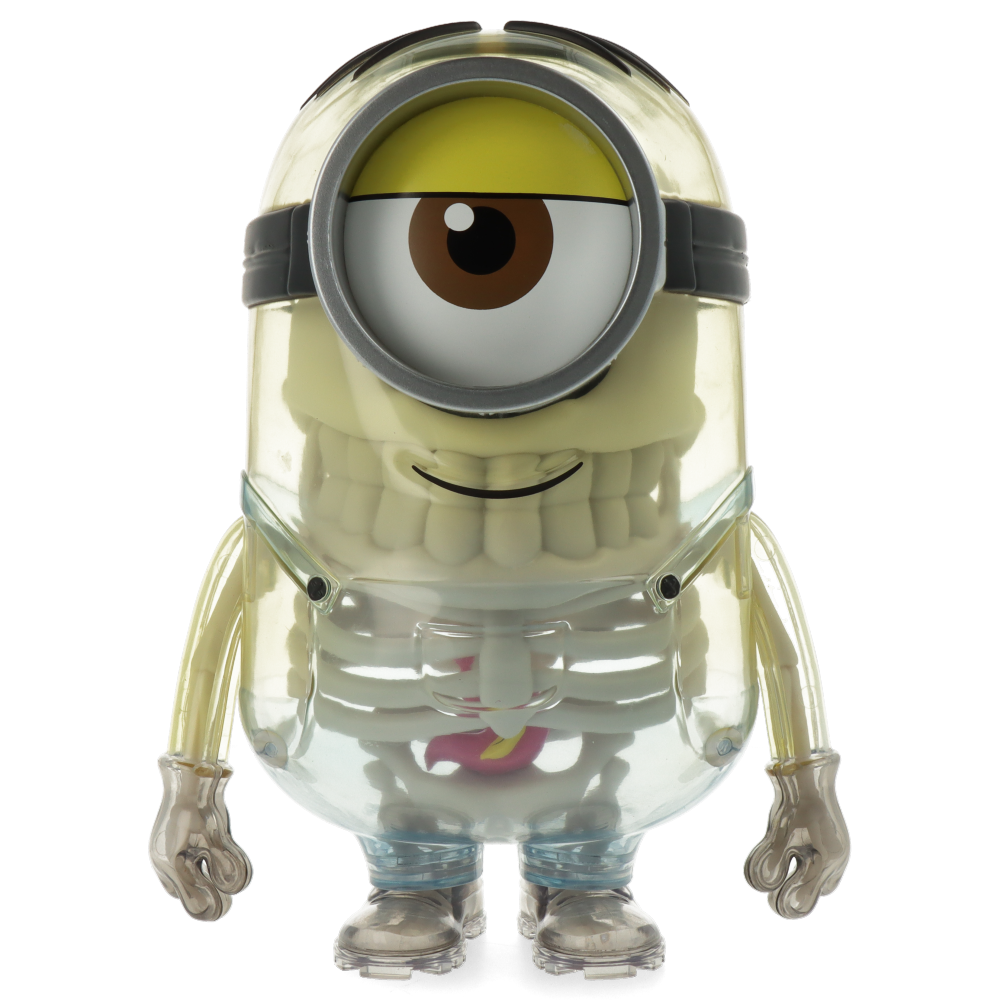 Minions Anatomy 8” Art Figure by Kidrobot
