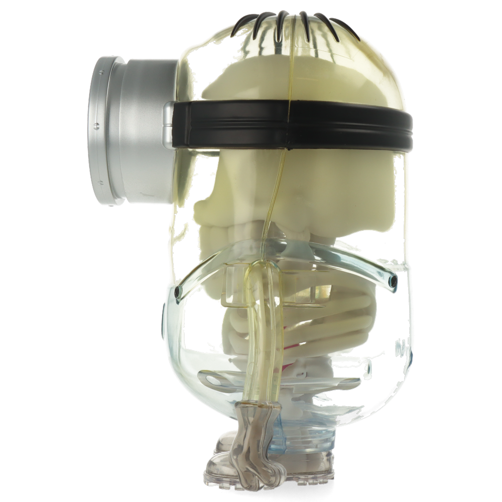 Minions Anatomy 8” Art Figure by Kidrobot