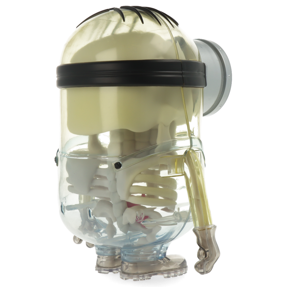 Minions Anatomy 8” Art Figure by Kidrobot