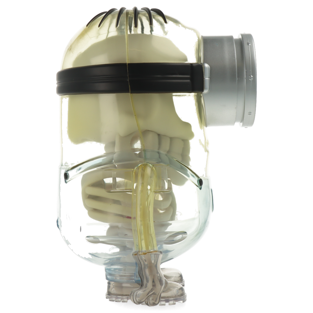 Minions Anatomy 8” Art Figure by Kidrobot