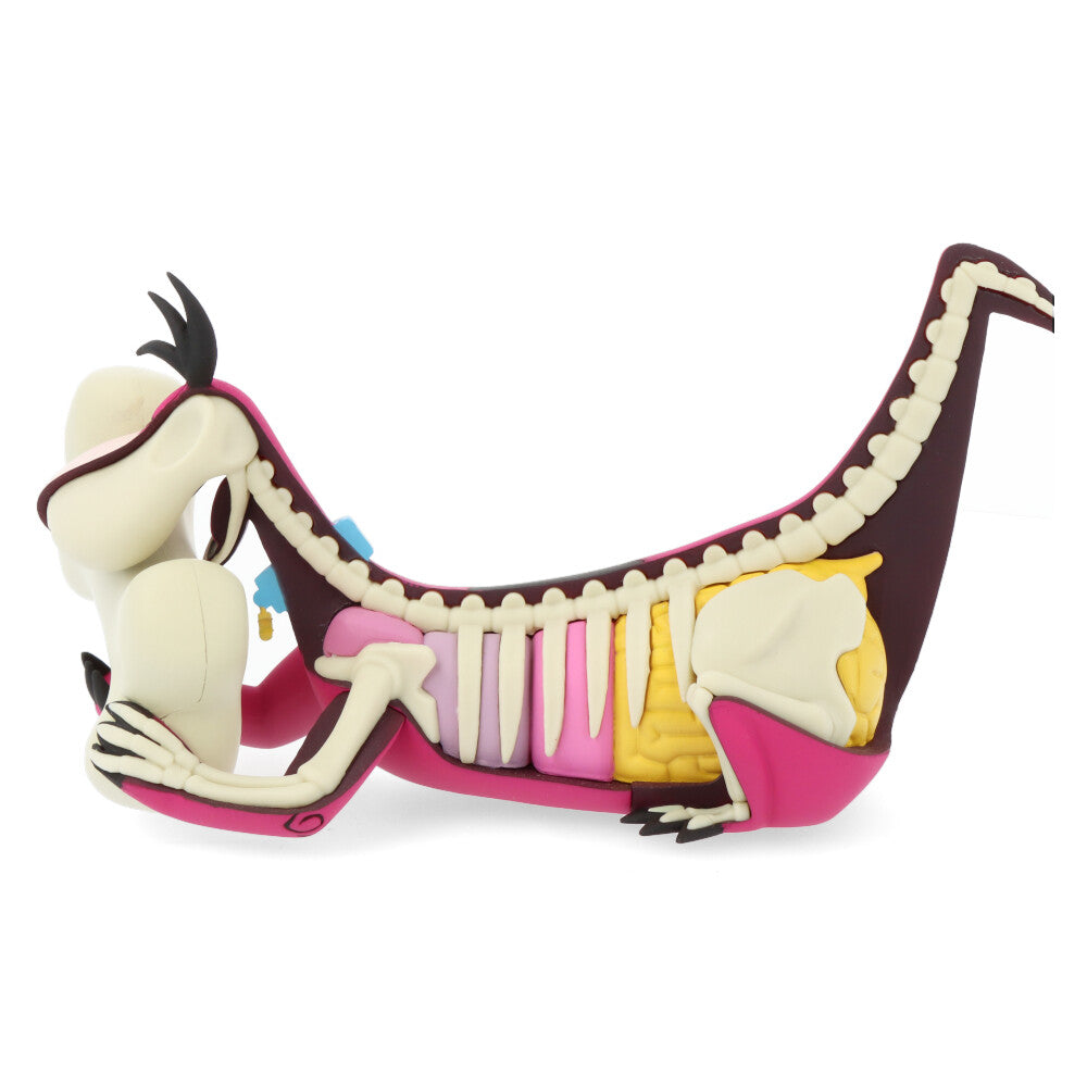 Xxray plus: dino (el Pierrafeu)