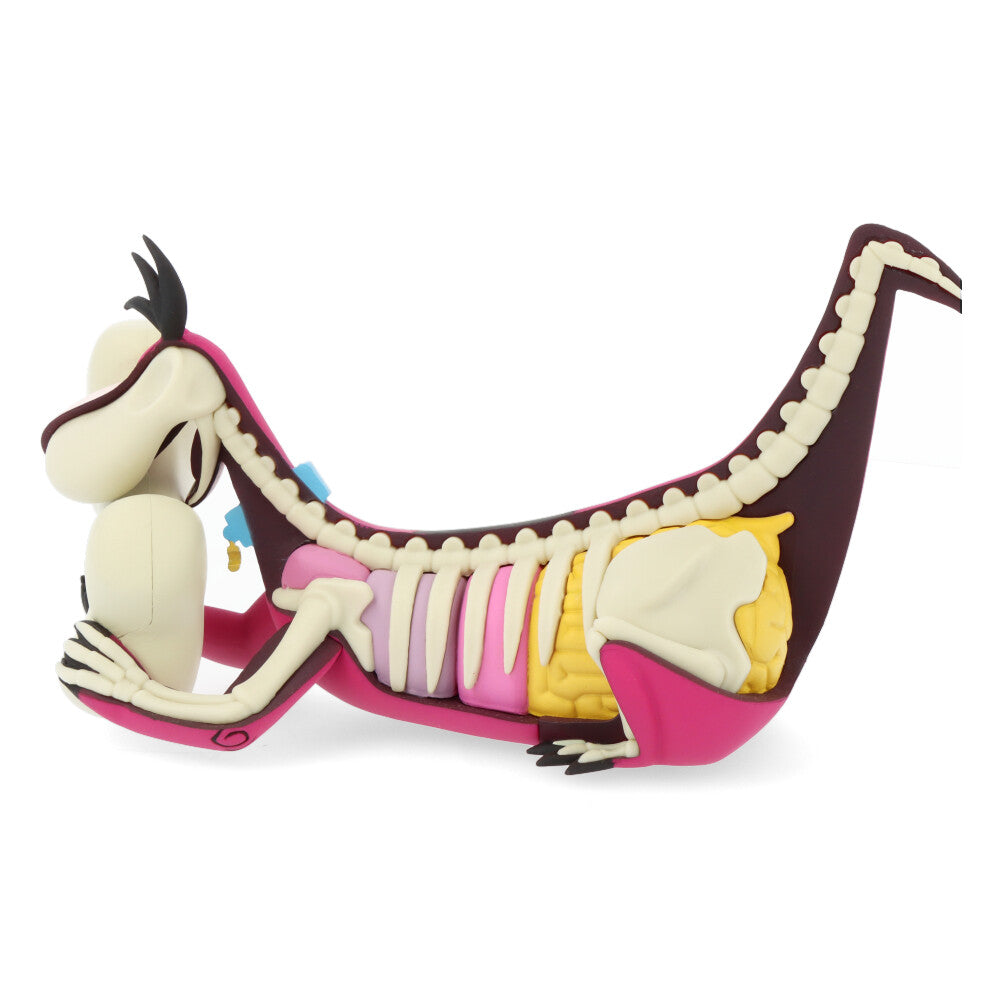 Xxray plus: dino (el Pierrafeu)